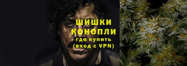 метадон Лагань