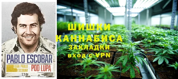 метадон Лагань
