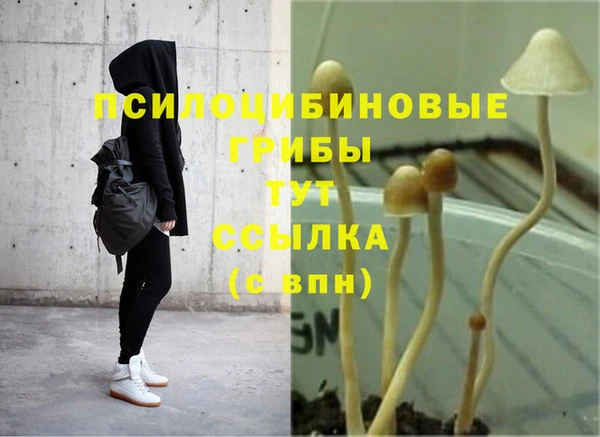 метадон Лагань
