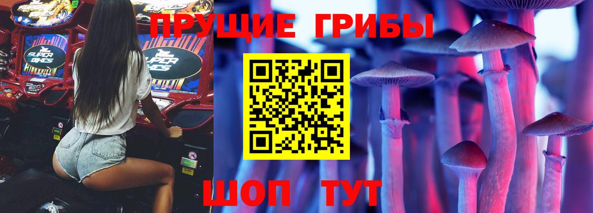 Галлюциногенные грибы Psilocybine cubensis Янаул